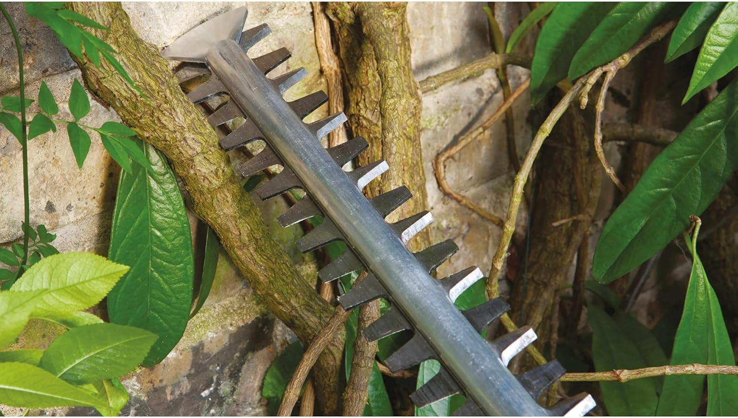 Bosch Heckenschere AdvancedHedgeCut 65 (500 Watt, Messerlänge: 65 cm, für große Hecken, Messerabstand: 34 mm, im Karton)