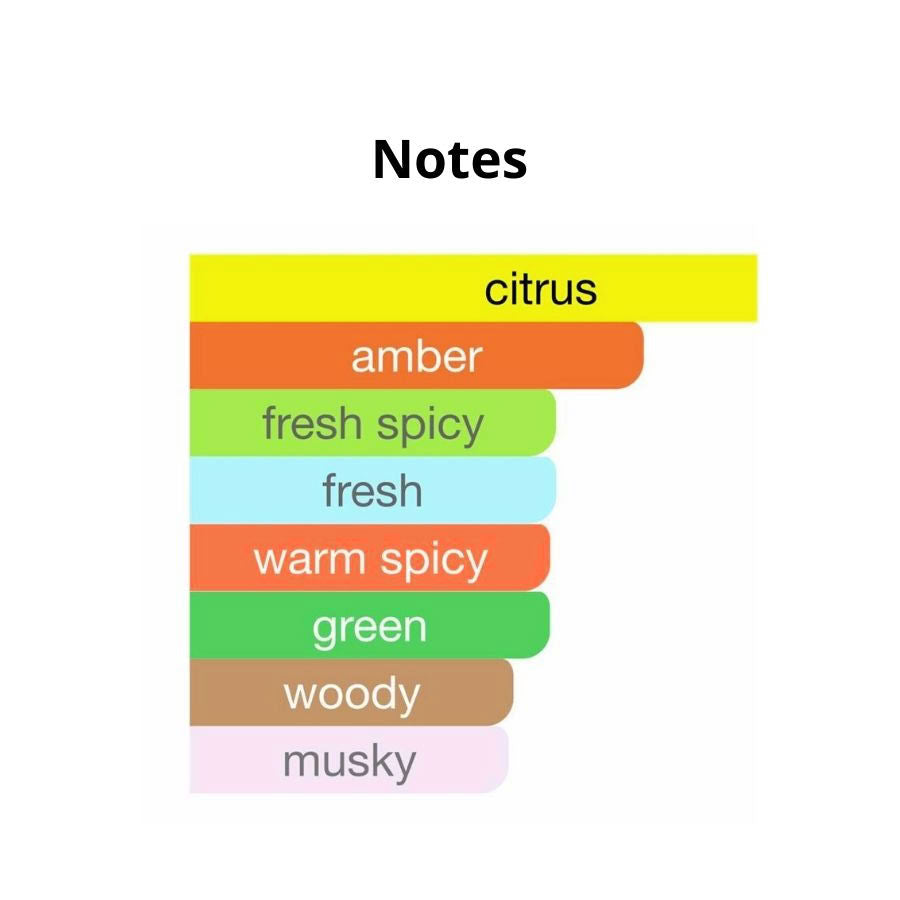 Amber Noir Tea Eau de Parfum